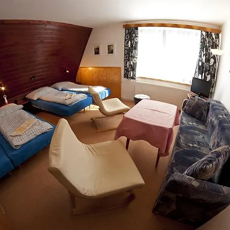 Pension U Vanu Benecko Room photo